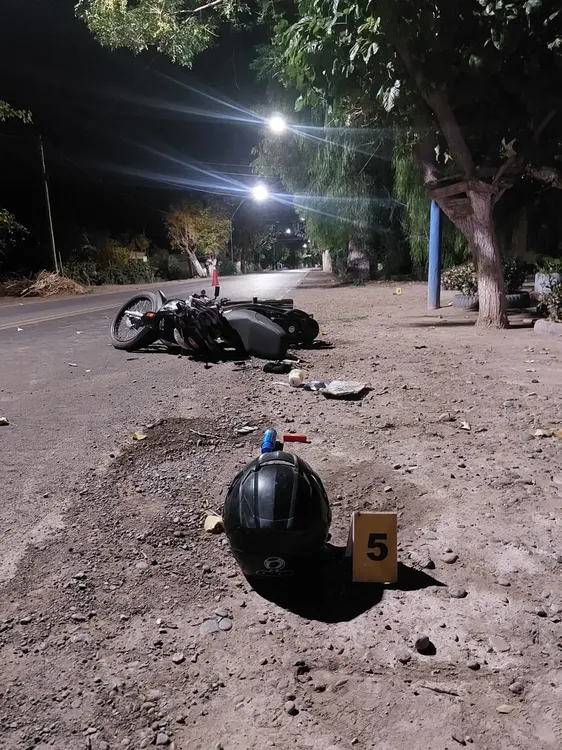 WhatsApp Image 2024-04-29 at 7.16.06 AM