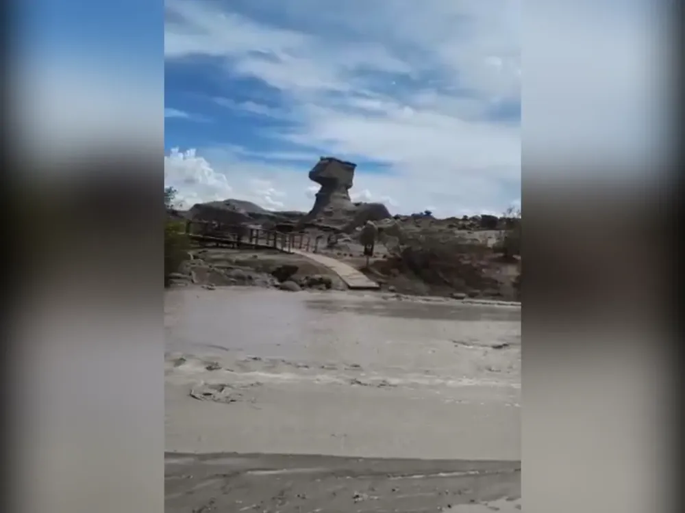 photogrid.photocollagemaker.photoeditor.squarepic_2025126101617708