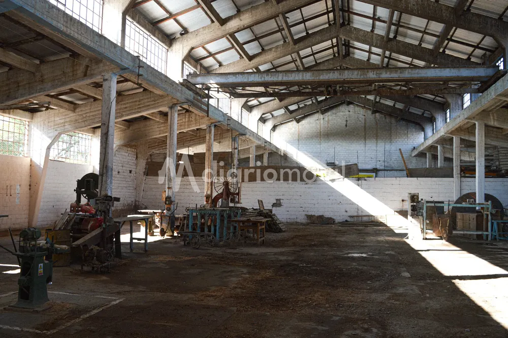 WhatsApp Image 2024-03-12 at 10.53.15 AM