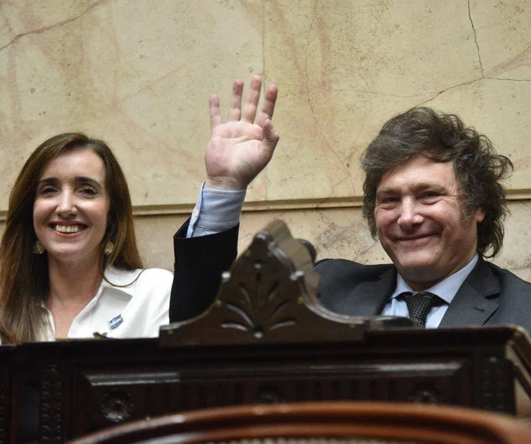 MILEI VILLARRUEL senado