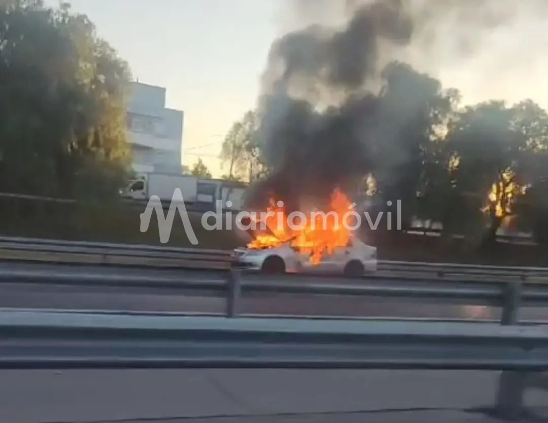 WhatsApp Image 2024-05-31 at 9.07.49 AM