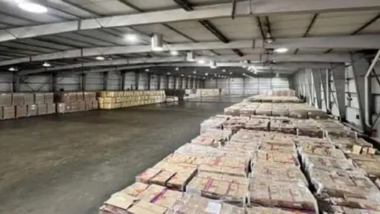 WhatsApp Image 2024-05-31 at 11.32.30 AM