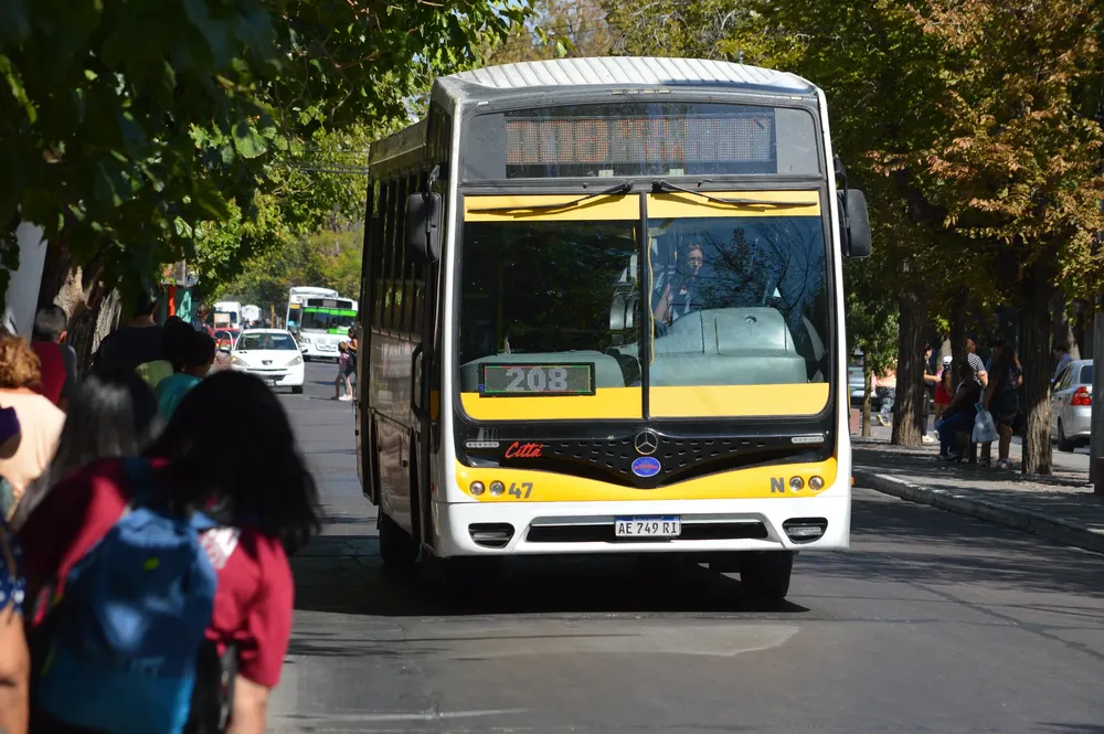 53581326208_cad4900d8d_k