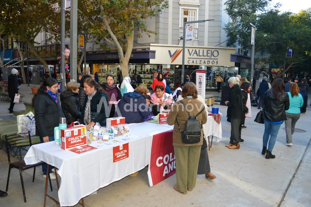 WhatsApp Image 2024-05-31 at 10.28.05 AM (1)