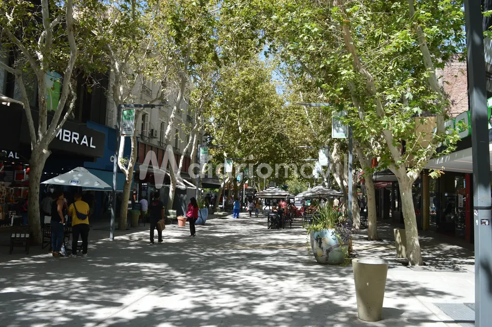 53595791665_b6e3fbad89_k