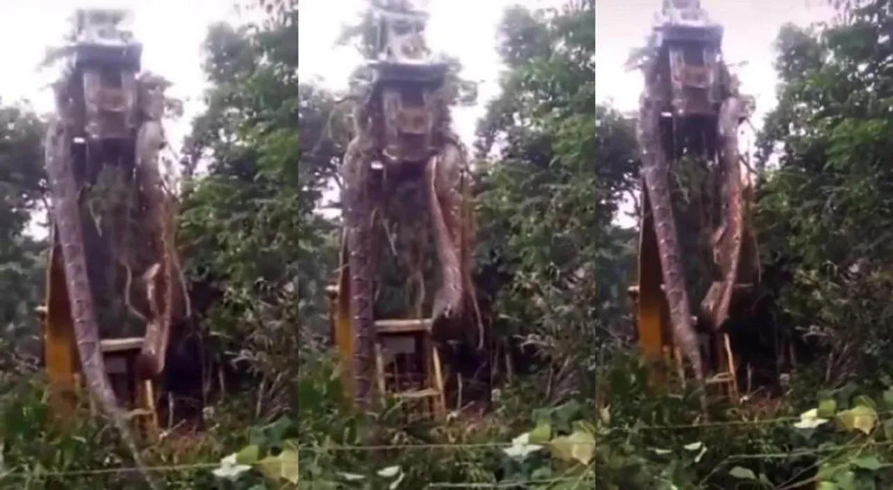 WhatsApp Image 2024-02-27 at 07.46.05