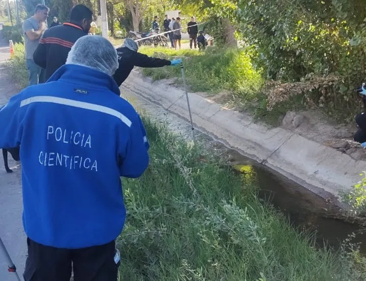 WhatsApp Image 2024-04-01 at 1.11.21 PM