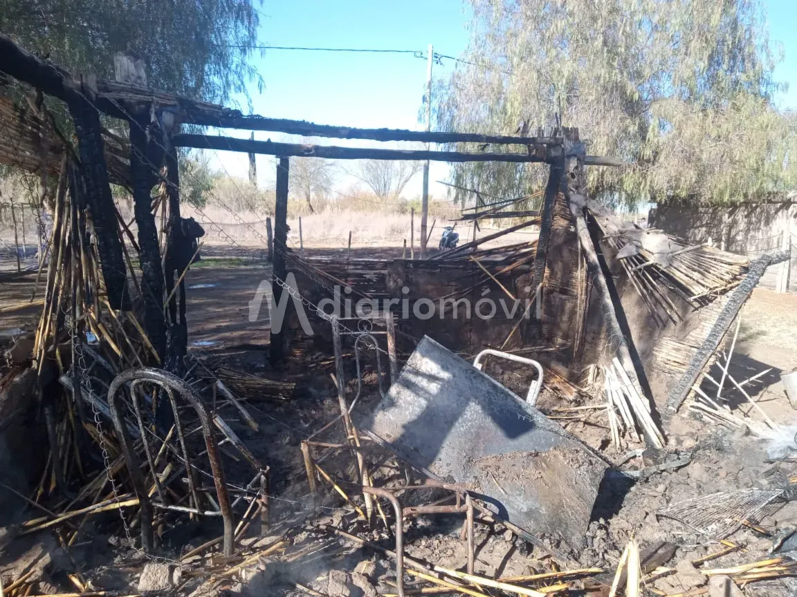 WhatsApp Image 2025-09-06 at 12.19