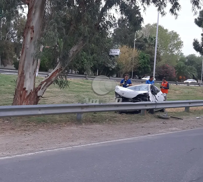 WhatsApp Image 2024-03-21 at 8.38.21 AM (1)