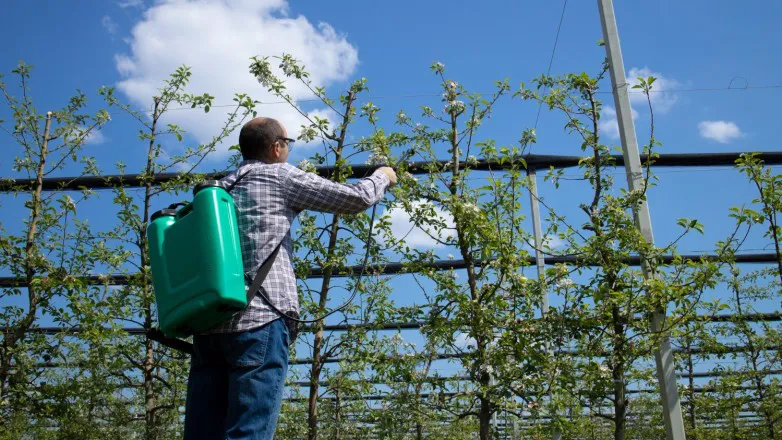 Líneas de Créditos