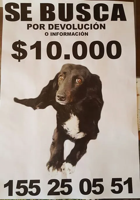 18278623_10154418282852617_8506834402014885990_o