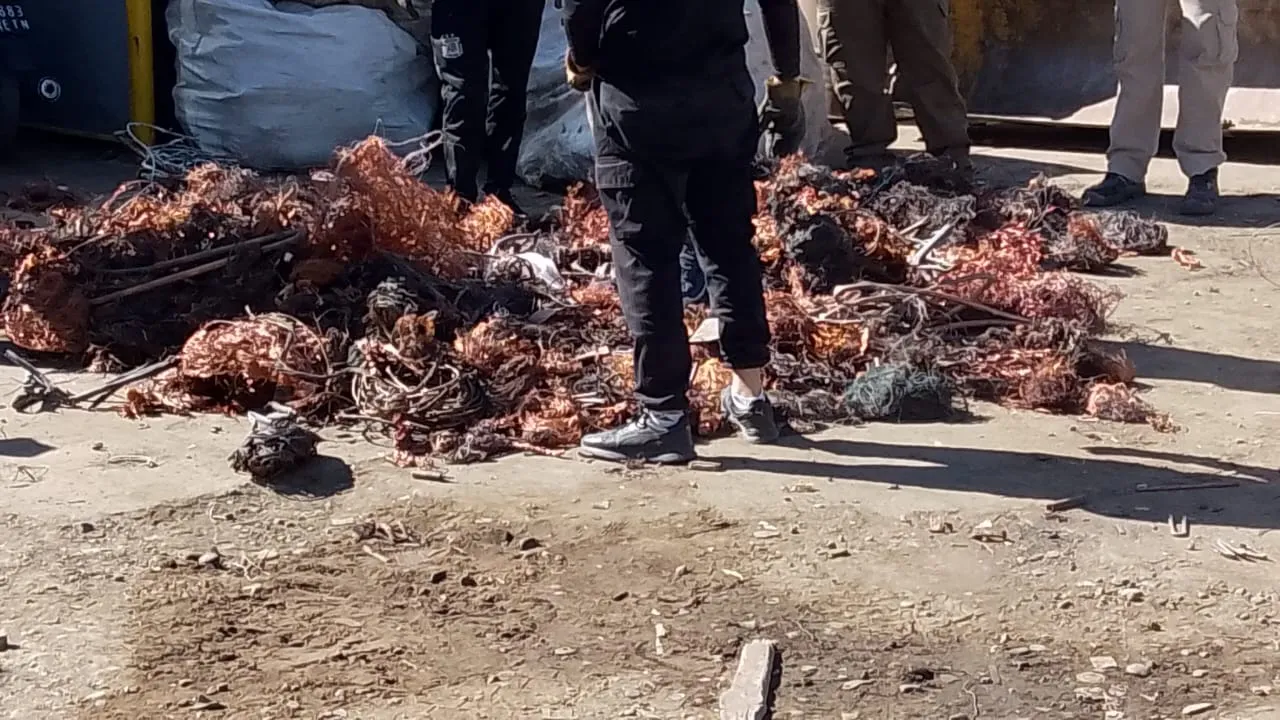 WhatsApp Image 2024-05-09 at 8.28.55 AM (1)