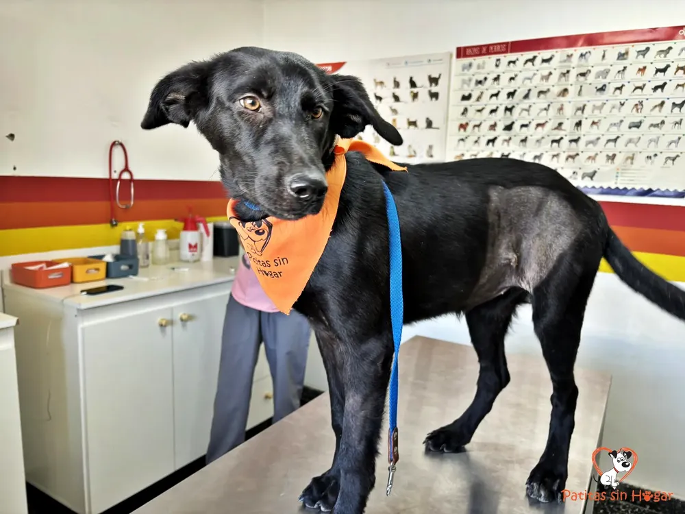 429977534_794069199413493_553960634471207033_n