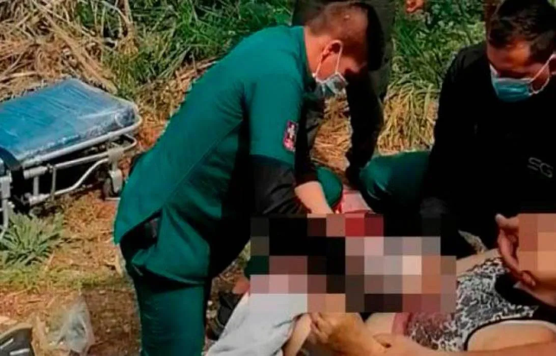 ataque-de-perro_4365359_20210324160216