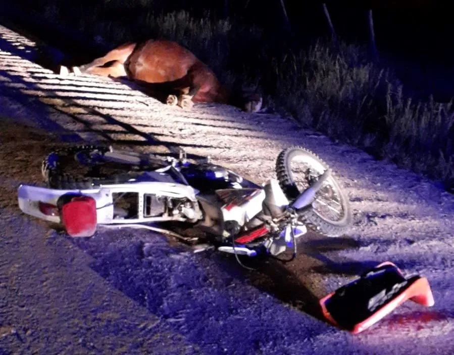 WhatsApp Image 2024-03-27 at 8.10.06 AM