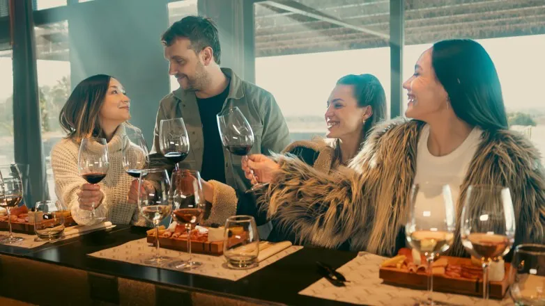 amigos - bodegas jóvenes san juan