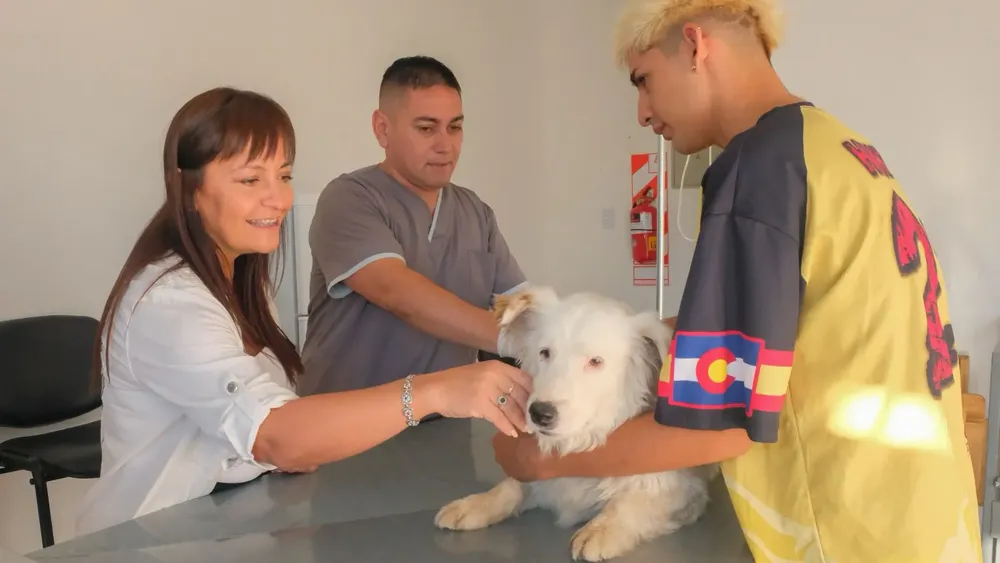 c13669f9-9d2f-496d-9639-8c0252bd2164