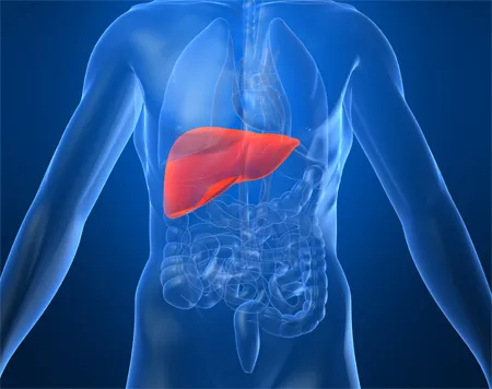 Hepatitis