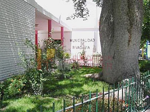 Rivadavia1