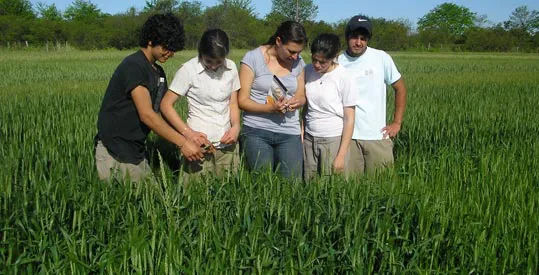 agrotecnica