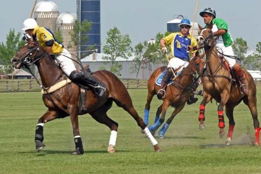 polo