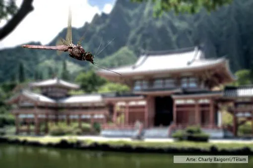mosquito-china