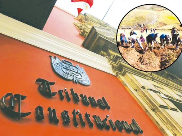 TribunalCosntitcuional