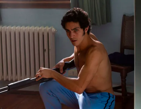 darin