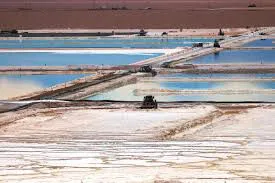 WhatsApp Image 2024-08-23 at 07.52.30