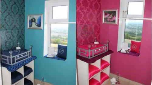 El Ings Luxury Cat Hotel ofrece habitaciones "personalizadas" para cada mascota.