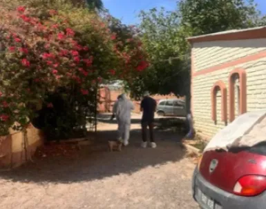 image - 2025-02-04T103140.757