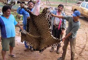 Problemas ambientales