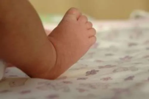 bebe