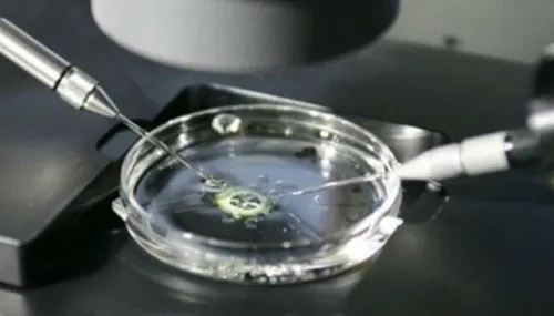 Un especialista advierte que si bien en la ley está contemplado el tratamiento con gametas donadas,  algunas prepagas y obras sociales se escudan en que hay centros de fertilidad que no están habilitados por el Registro Federal de Establecimientos de Salud (ReFES) como centro con banco de gametas (semen y óvulos) y niegan la cobertura.