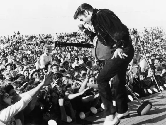 elvis