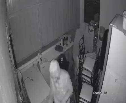 cámara de seguridad 3636