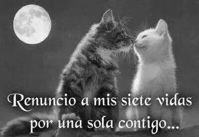 11066777_805791029502257_3477412035864170132_n