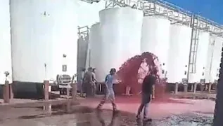 WhatsApp Image 2024-03-12 at 11.36.59