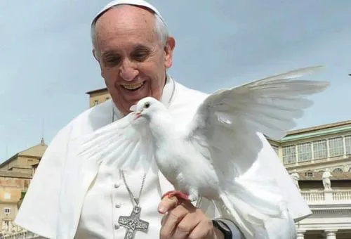 Papa-Francisco-paloma