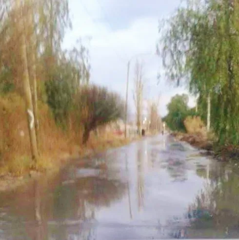 11793425_10203944333602915_1458305591_n (1)