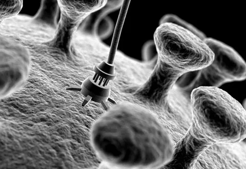 nanotecnologia_alimentacion