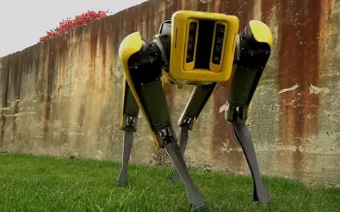 spot-mini-boston-dynamics