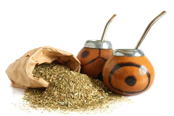 yerba-mate