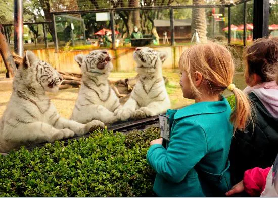 zoo-buenos-aires