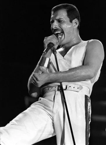 Freddie