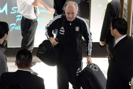 sabella