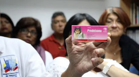 medicamentos veterinarios