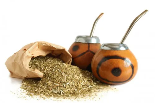 yerba-mate