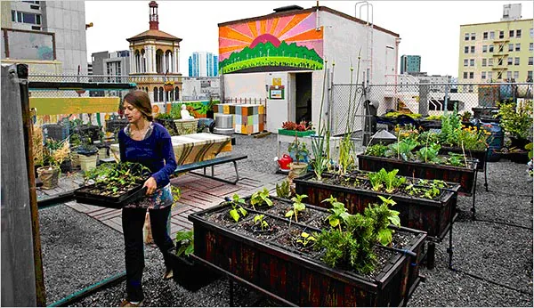 Huerta urbana