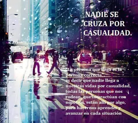 11138617_10152920647056006_8195194053036099156_n